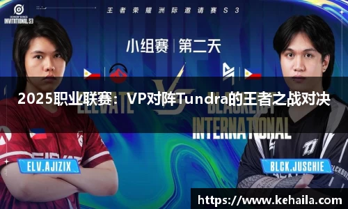 2025职业联赛：VP对阵Tundra的王者之战对决