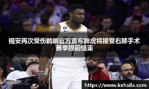 锡安再次受伤鹈鹕官方宣布胖虎将接受右膝手术赛季提前结束